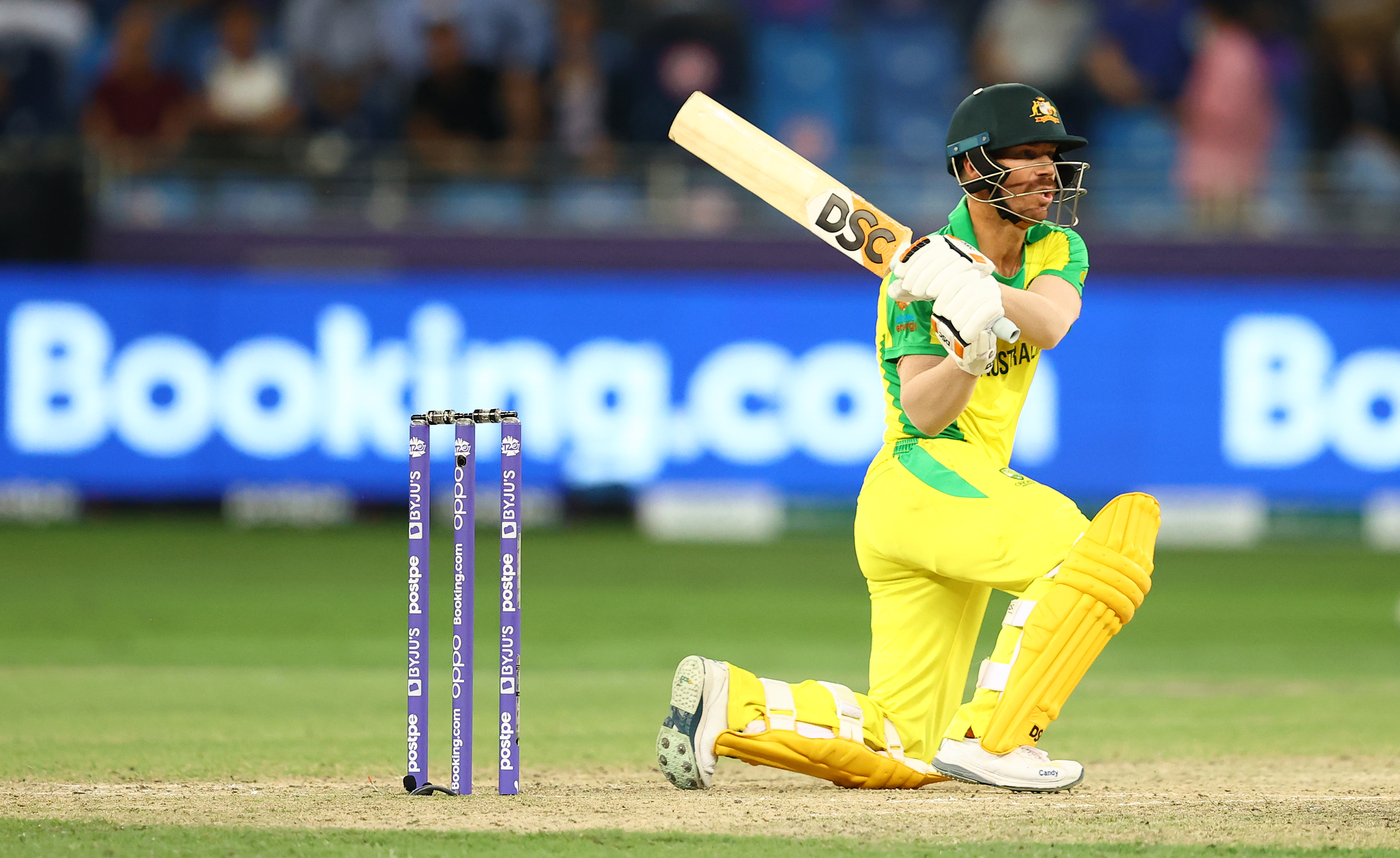 David Warner scored 53 off 38 against New Zealand in the T20 World Cup 2021 final on Sunday