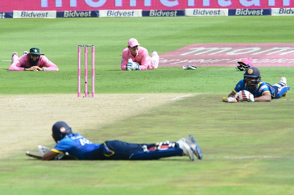 Bees stop South Africa-Sri Lanka match for an hour