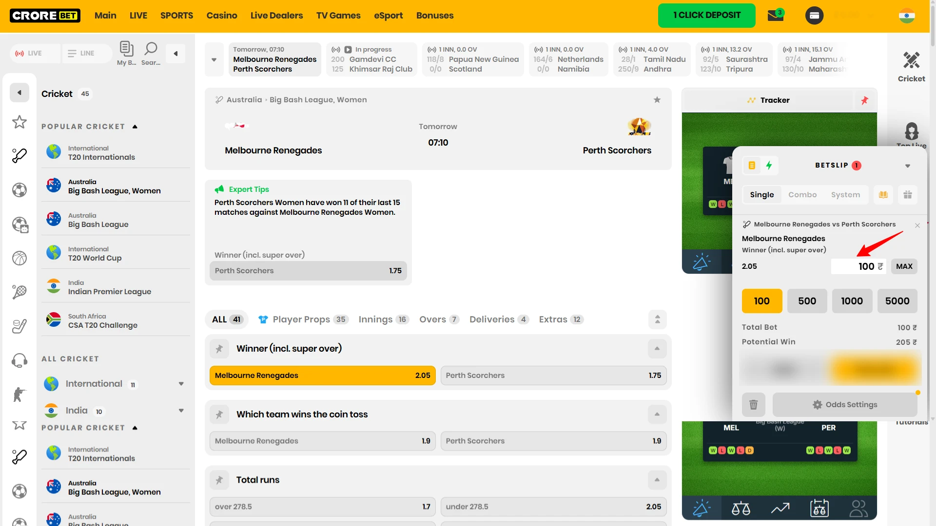Enter the amount of your bet in the betting field.