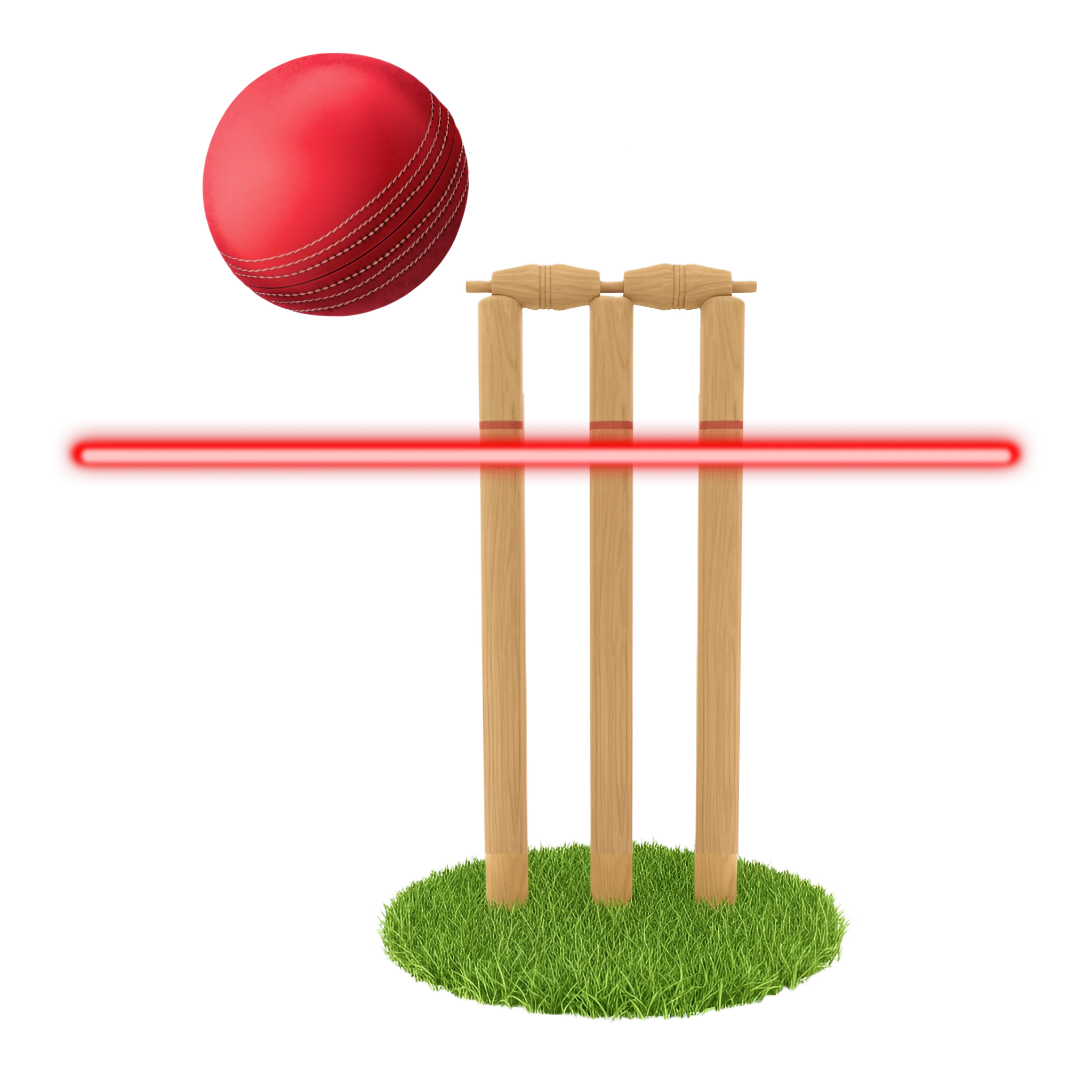 What is a Beamer in Cricket?